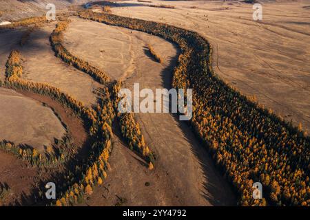 Malerische Luftaufnahme von Altai mit gewundenen Waldgebieten im Herbst. Atemberaubende natürliche Muster sichtbar. Stockfoto
