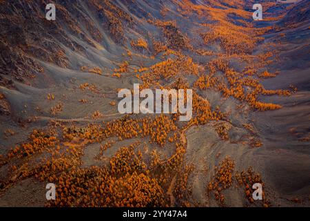 Blick aus der Vogelperspektive auf eine herbstliche Landschaft mit bunten Bäumen, die hügeliges Gelände umgeben von zerklüfteten Hängen bedecken. Stockfoto