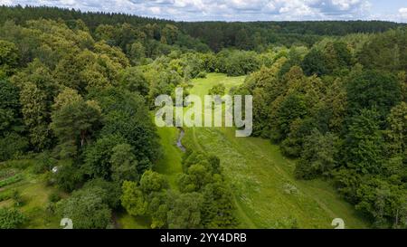 Aus der Vogelperspektive auf einen üppig grünen Wald mit einem gewundenen Pfad und einem kleinen Bach. Stockfoto