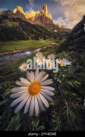 Eine atemberaubende Alpenlandschaft mit lebhaften Gänseblümchen im Vordergrund, einem ruhigen Bach, der sich durch üppiges Grün schlängelt, und majestätischen Gipfeln Stockfoto