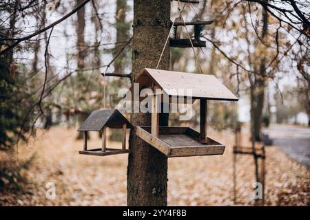 Zwei hölzerne Vogelfütter hängen an einem Baum in einem Herbstwald. Die Szene fängt die Ruhe der Natur ein, mit gefallenen Blättern, die einen ruhigen Hintergrund bilden Stockfoto