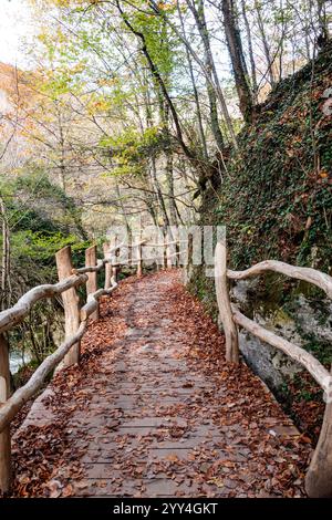 Ein bezaubernder Holzweg mit Herbstlaub schlängelt sich durch einen üppigen Wald. Die Szene fängt das Wesen des Herbstes mit buntem Laub A ein Stockfoto