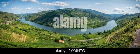 Atemberaubende Aussicht auf den Fluss Douro in Portugal, umgeben von üppigen grünen Hügeln und Weinbergen, fängt die weitläufige Landschaft den ruhigen Fluss ein Stockfoto