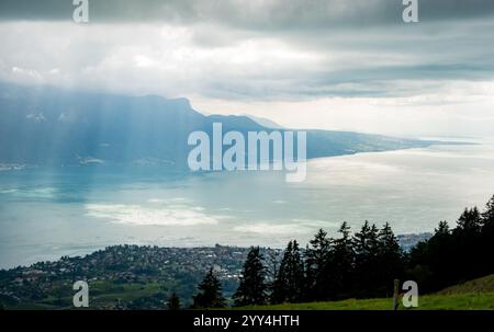 Ein weitläufiger Blick über den Genfer See mit einer Mischung aus natürlichen und urbanen Landschaften unter einem dramatischen Himmel. Üppiges Grün im Vordergrund fügt dep Stockfoto