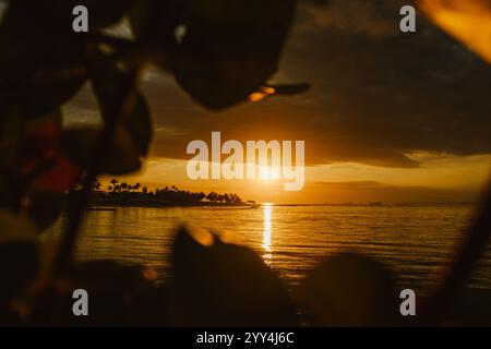 Ein atemberaubender Sonnenuntergang über dem ruhigen Wasser der Dominikanischen Republik, umgeben von Silhouettenpalmen, die lebendigen Farben schaffen einen ruhigen tropischen geldautomaten Stockfoto