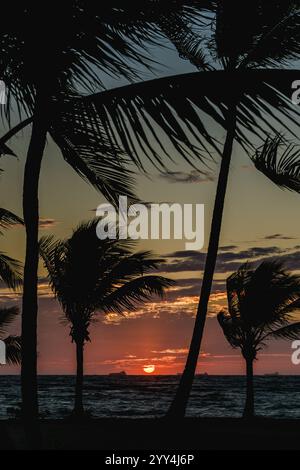 Ein pulsierender Sonnenuntergang über dem Meer, eingerahmt von sich wiegenden Palmensilhouetten, fängt die ruhige Schönheit der tropischen Küste der Dominikanischen Republik ein Stockfoto