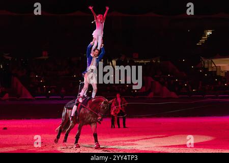 Galashow des Internationalen Festhallen Reitturniers die Brüsewitz-Brüder präsentieren mit Showtalent und Voltigierkunst das Musical öThe Greatest Showman auf spektakuläre Weise athletisch und gefühlvoll. Große Galashow des INTERNATIONALEN FESTHALLEN REITTURNIERS FRANKFURT 2024 in Frankfurt am Main am 18. Dezember 2024., Frankfurt am Main Hessen Deutschland Festhalle *** Gala-Show des Internationalen Festhalle Reitturniers die Brüsewitz Brüder präsentieren das Musical öThe Greatest Showman auf spektakulär athletische und emotionale Art und Weise mit Showtalent und Vaulting Skills Grand Gala Show of Stockfoto