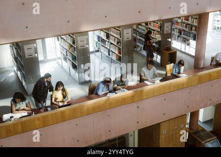 Hochwinkelansicht multirassischer weiblicher und männlicher Studenten, die Aufgaben erledigen, während sie am Schreibtisch in der Universitätsbibliothek sitzen Stockfoto