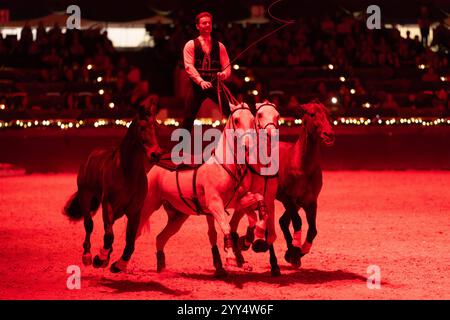 Galashow des Internationalen Festhallen Reitturniers der französische Künstler und Künstler zu Pferde, Laury Tisseur. Große Galashow des INTERNATIONALEN FESTHALLEN REITTURNIERS FRANKFURT 2024 in Frankfurt am Main am 18. Dezember 2024., Frankfurt am Main Hessen Deutschland Festhalle *** Gala-Show des Internationalen Festhalle Reitturniers der französische Künstler und Darsteller zu Pferd, Laury Tisseur Grand Gala-Show der INTERNATIONALEN Festhalle REITTURNIER FRANKFURT 2024 in Frankfurt am Main am 18. Dezember 2024 , Frankfurt am Main Hessen Germany Festhalle Stockfoto