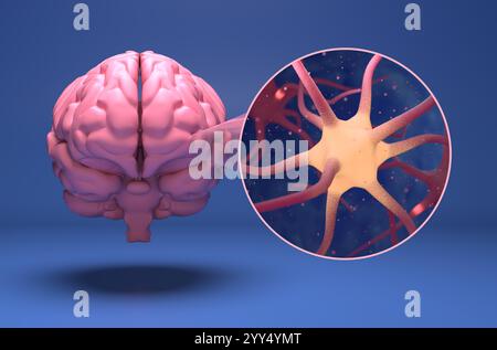 Neuronzellen - 3D-Illustration Nahaufnahme Stockfoto
