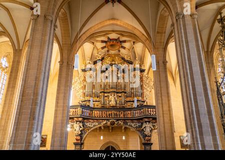 Orgel der Severikirche in Erfurt, Thüringen, Deutschland | St. Severus-Orgel in Erfurt, Thüringen, Deutschland, Europa Stockfoto