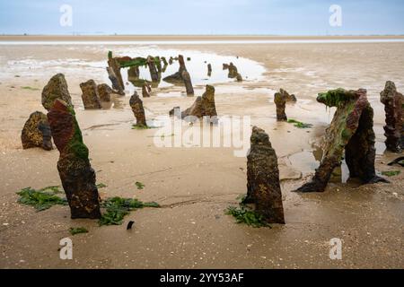 Higgins Boat LCVP bleibt in Utah Beach, Normandie, Frankreich Stockfoto