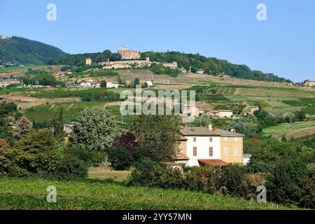 Montmelas-Saint-Sorlin (im Osten Frankreichs): Château de Montmelas, eine Festung in der Provinz Beaujolais, mit Blick auf die Weinberge Stockfoto