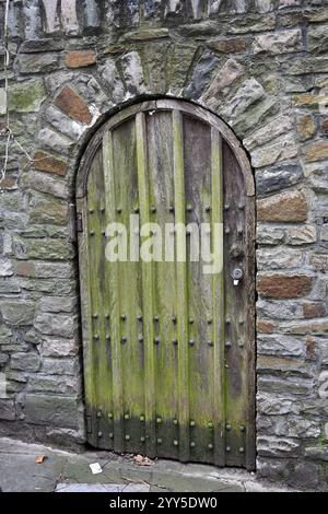 Alte bogenförmige Holztür mit grünen Algenflecken, senkrechte Leisten in einem groben Steinbogen in einer Steinmauer Stockfoto