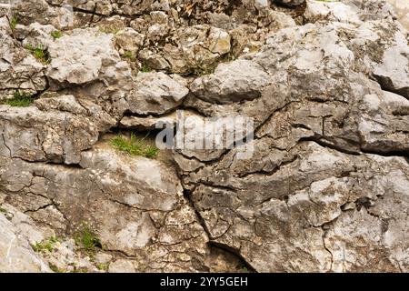 Textur von Stein riesig, hellgraue Steintextur Stockfoto