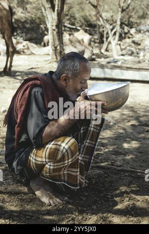 Ali trinkt Milch nach dem Melken eines seiner Kamele (Camelus dromedarius), Kamelfarm von Scheich Ahmed Ali Al-Mahri, Sarfeit, Dhofar, Oman, Asien Stockfoto