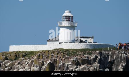 Die Farne-Inseln sind eine Inselgruppe vor der Küste von Northumberland in England. Es gibt zwischen 15 und 20 Inseln, je nach Flut Stockfoto