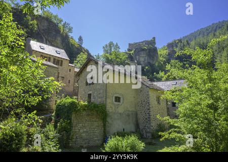 Platz zwischen Felsen in der Tarn-Schlucht, Gorges du Tarn Causses, Castelbouc, Departement Lozere, Frankreich, Europa Stockfoto