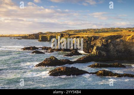 Küste in der Nähe von Arnarstapi, Halbinsel Snaefellsnes, Snaefellsnes, West Island, Island, Europa Stockfoto