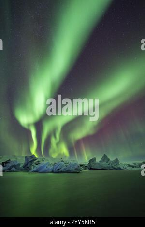 Nordlichter über Eisbergen in der Gletscherlagune, Joekulsarlon, Eisberge mit Gletscher, Vatnajoekull Nationalpark, HornafjoerÃ°ur, Südisland, I Stockfoto