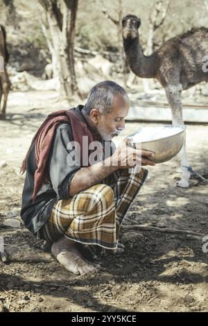 Ali trinkt Milch nach dem Melken eines seiner Kamele (Camelus dromedarius), Kamelfarm von Scheich Ahmed Ali Al-Mahri, Sarfeit, Dhofar, Oman, Asien Stockfoto