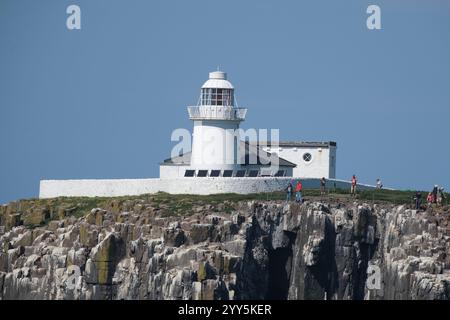 Die Farne-Inseln sind eine Inselgruppe vor der Küste von Northumberland in England. Es gibt zwischen 15 und 20 Inseln, je nach Flut Stockfoto