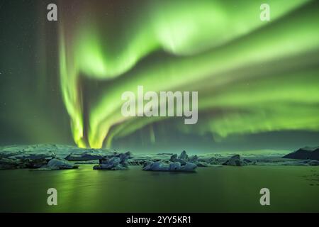 Nordlichter über Eisbergen in der Gletscherlagune, Joekulsarlon, Eisberge mit Gletscher, Vatnajoekull Nationalpark, HornafjoerÃ°ur, Südisland, I Stockfoto