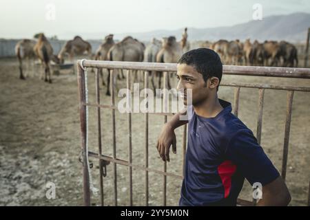 Thamer, Sohn des Kamelzüchters Said Shafari, Salalah Kamelfarm, Dhofar, Oman, Asien Stockfoto