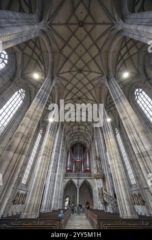 Innenraum mit Netzgewölbe und Orgelloft, Orgel aus dem Jahre 1997, spätgotische Hallenkirche St. Georg, Dinkelsbühl, Bayern, Deutschland, Europa Stockfoto