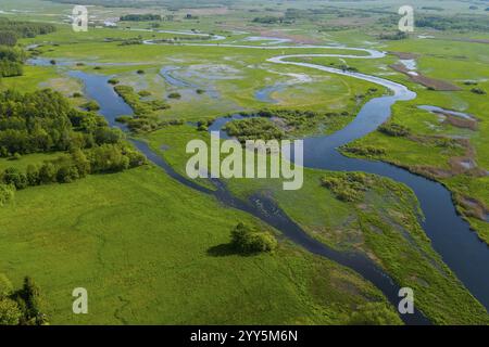 Biebrza Nationalpark, Foto mit Drohne, Feuchtgebiet, Fluss, Polen, Europa Stockfoto