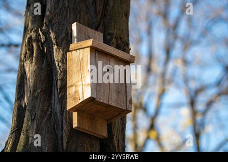 Hölzernes Vogelhaus hängt am Baum im Waldpark, mit dem kreisförmigen Eingangsloch. Handgefertigte Holzhütte für Vögel, um den Winter zu verbringen. Stockfoto
