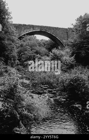 Durham England: 6. September 2024: The Causey Arch. Eine große Steinbogenbrücke steht über einem dichten Dickicht von Bäumen und Büschen Stockfoto