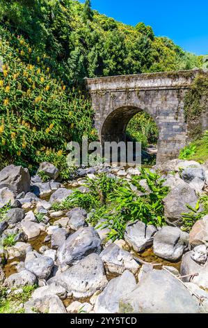 Im Sommer bietet sich ein Blick auf das von Felsen übersäte Flussbett neben den Ribeiria-Wasserfällen auf der Insel Sao Miguel auf den Azoren Stockfoto