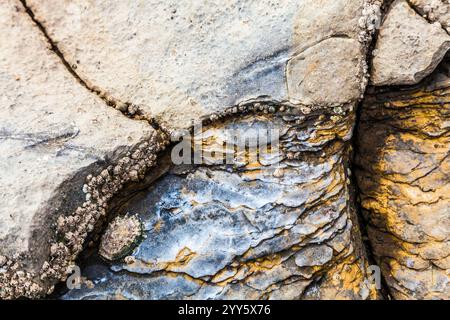 Ein abstraktes Bild von Gesteinsschichten, die Muster in der Klippenwand am Nash Point in Wales bilden. Stockfoto