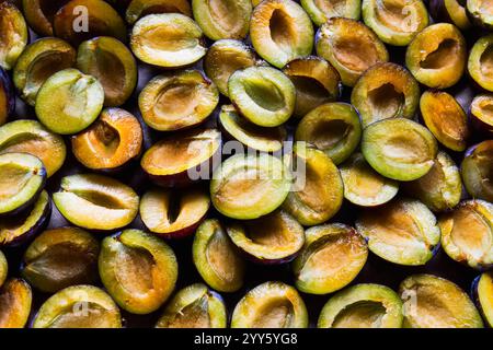 Eine Nahaufnahme ungarischer Pflaumen, die zum Trocknen in zwei Hälften geschnitten wurden. Stockfoto