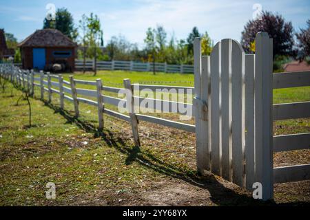 Schöne Landschaft Weiße Rinder Holzzaun und ein Bauernhaus im Hintergrund. Ein Farmtor. Gras und Pferde im Inneren. Stockfoto