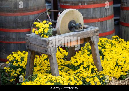 Ein altes Steinwerkzeug zum Schärfen von Messern aus dem Mittelalter in einem Blumengarten. Vintage Schleifstein. Stockfoto