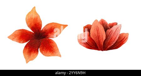 Aquarellillustration von roten und orangen Blumen mit einem Farbverlauf und feinen Texturen. Künstlerisch handgemalte Blumenelemente in warmen Tönen, ideal Stockfoto