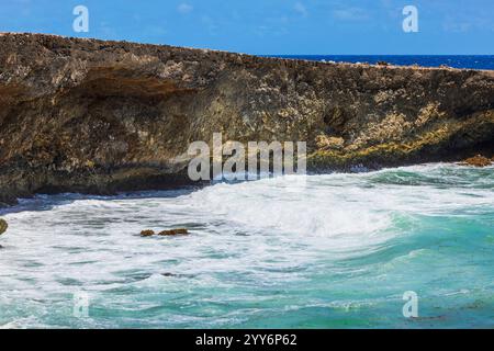 Felsige Küste auf Aruba mit türkisfarbenen Wellen des Karibischen Meeres, die unter klarem blauem Himmel gegen Klippen krachen. Stockfoto