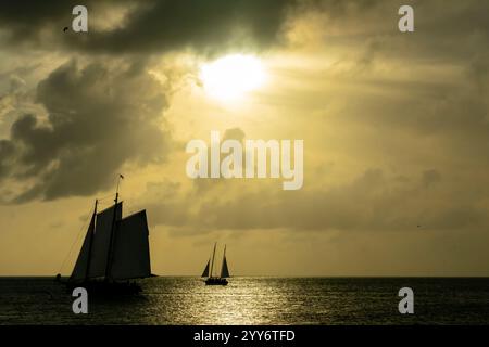 Ein strahlender goldener Sonnenuntergang wirft schimmerndes Licht über ruhiges Wasser. Silhouetten-Segelboote driften sanft, ihre dunklen Formen kontrastieren mit dem feurigen Farbton Stockfoto