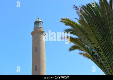 Ein Leuchtturm Faro vor blauem Himmel mit einer Palme im Vordergrund in Maspalomas, Gran Canaria, Kanarischen Inseln, Spanien. Stockfoto