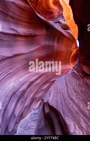 Sonnenlicht reflektiert die Silikate in den Sandsteinmauern des Mountain Sheep Canyon in der Nähe von Page, Arizona. Stockfoto