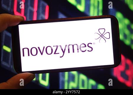 Polen. Dezember 2024. In dieser Abbildung wird das Firmenlogo von Novozymes auf einem Smartphone-Bildschirm angezeigt. (Credit Image: © Piotr SWAT/SOPA Images via ZUMA Press Wire) NUR REDAKTIONELLE VERWENDUNG! Nicht für kommerzielle ZWECKE! Stockfoto