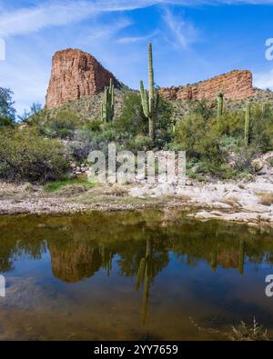 Wunderschöne Landschaft der Sonora-Wüste in Tortilla Flat, Arizona entlang des historischen Apache Trail. Stockfoto