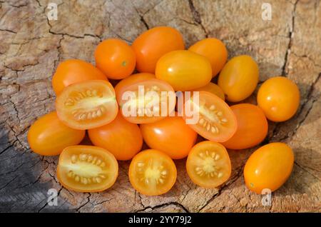 Reife gelbe süße Kirschtomaten, im Ganzen und in Scheiben geschnitten, auf einem alten Baumstumpf als Hintergrund. Konzept für den Anbau von Sortentomaten. Stockfoto