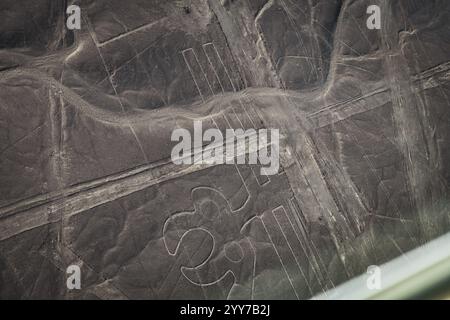 Aus der Vogelperspektive von Parrot bei Nasca Lines, Peru Stockfoto