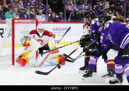 19. November 2024: Ottawa Charge Torwart Gwyneth Philips (33) beobachtet den Puck während eines PWHL-Hockeyspiels zwischen Ottawa Charge und Minnesota Frost im Xcel Energy Center in St. Paul, Minnesota. Steven Garcia-CSM Stockfoto