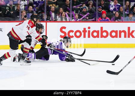 19. November 2024: Michela Cava (86) jagt den Puck während eines PWHL-Hockeyspiels zwischen Ottawa Charge und Minnesota Frost im Xcel Energy Center in St. Paul, Minnesota. Steven Garcia-CSM Stockfoto