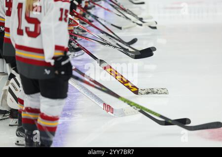 19. November 2024: Hockeyschläger der Ottawa Charge während eines PWHL-Hockeyspiels zwischen der Ottawa Charge und dem Minnesota Frost im Xcel Energy Center in St. Paul, Minnesota. Steven Garcia-CSM Stockfoto