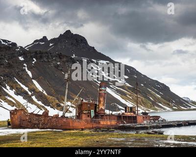 Das Wrack des Walfängers Albatros wurde von den Überresten des Harpoon Jetty in Grytviken, Südgeorgien, begraben. Mount Duse ist ganz links. Stockfoto